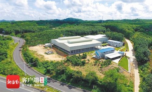 澄邁實(shí)施產(chǎn)業(yè)扶貧項(xiàng)目94個 投入扶貧資金3359萬元